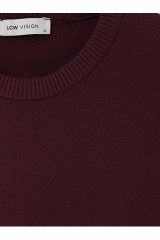 Lcw Vision Mürdüm Regular Fit Erkek Triko Kazak
