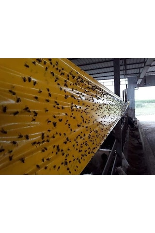 Karasinek Tuzagı Sinbant Ahırlar Çiftlikler Vs Için 15Cmx5O Metre