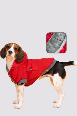 Köpek Mont - Red Design Su Geçirmez Köpek Yağmurluğu, Küçük Irk Köpek Kıyafeti