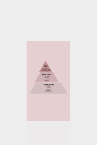 Lufian Emma Kadın Parfüm EDP 100 ML