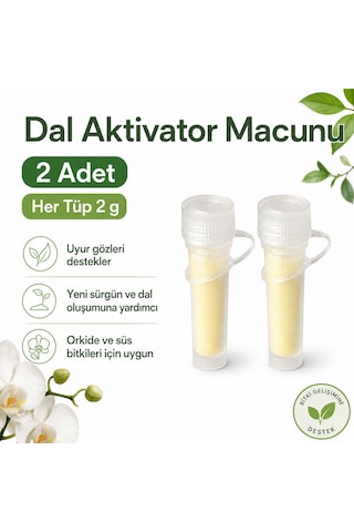 2 Adx2 Gr Orkide Keiki Macunu Orkide Yavru Oluşturucu Büyüme Hormonu Orkide Çoğaltma Macunu 100 2 Adx2 Gr Orkide Keiki Macunu Orkide Yavru Oluşturucu Büyüme Hormonu Orkide Çoğaltma Macunu 100