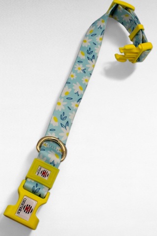 Caramelos İsimli Köpek Tasması, İsimli Tasma, Orta Ve Büyük Irk L