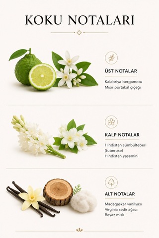 Kadın Parfümü Mila Way Edp 50 Ml Kalıcı Parfüm Aromatik