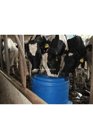 Farmena Donmaz Suluk 40 Litre