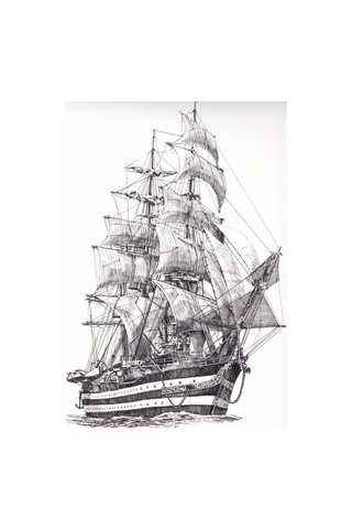 Stein Güçlü Poliüretane Yapıştırıcı Deniz Tutkalı 500 G