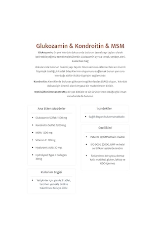 Wiselab Glukozamin & Kondroitin & Msm Tip 2 90 Tablet