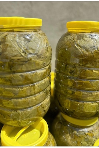 Gustolea Nature Manisa Sultaniye İlk Hasat İnce Damarsız Salamura Uç Asma Yaprağı 2025  Yeni Sezon