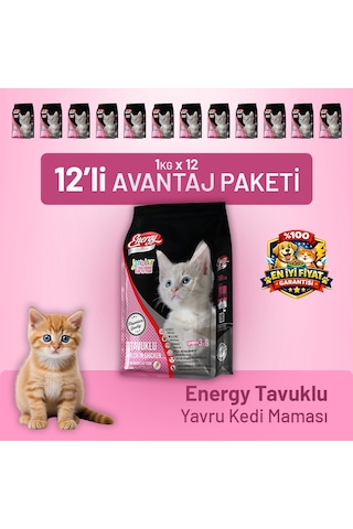 Tavuklu Yavru Kedi Maması - 12 Adet