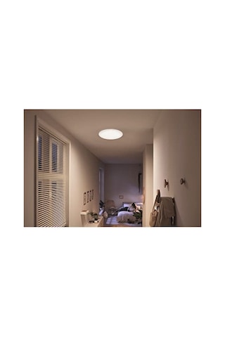 Gün Işığı Entegre Led Tavan Lambası, 6w 01G Taba