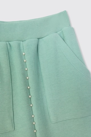 Panço Kız Çocuk Mint Etek 2521gk13016 Yeşil
