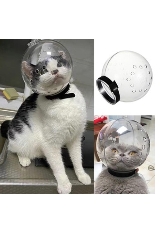 Lavimo Kedi Bakım Küresi