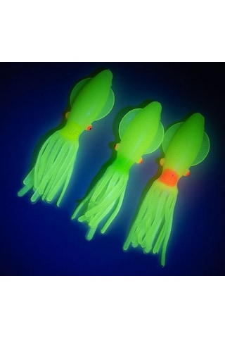 Solid Squid 7cm 6pack