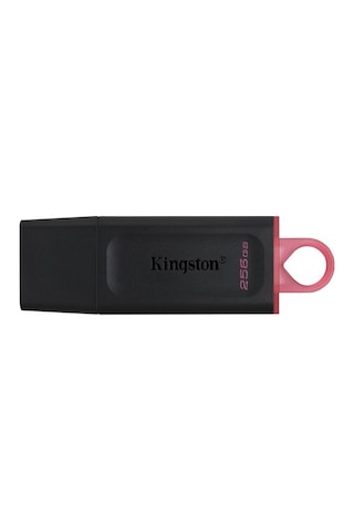 Kingston DTX/256GB DataTraveler Exodia 256 GB USB 3.2 Gen 1 Flash Bellek