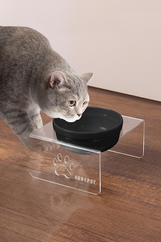 Tekli Seramik Dekoratif Kedi Ve Köpek Pleksi Mama & Su Kabı Kedi Paspası