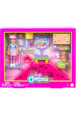 Barbie Chelsea Kaykay Parkı HJY35