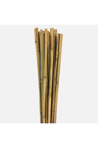 Fidan Dikim Destek Çubuğu 50 Adet 75cm