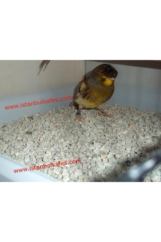 Kuş Kafesi Koku Giderici Taban Malzemesi 23 KG