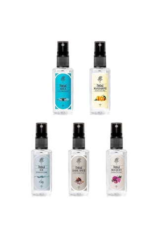 Rebul Aqua + Bouquet + Dark Spice + Ice + Mandarine Sprey Kolonya 5 x 50 ML