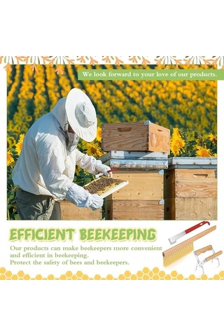 Pazly Suntek Ahşap Saplı Kovan Fırçası Arıcılık Aleti 3x Pm