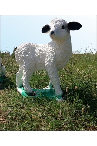 M3 Beyaz Koyun Yavrusu Süt Kuzu Iç Dış Mekan 50Cm Bahçe Oda Heykeli Beyaz