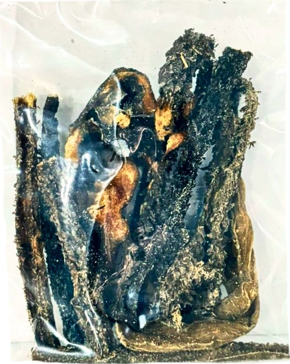 Yüksek Proteinli Dana İşkembe Köpek Ödülü 100gr