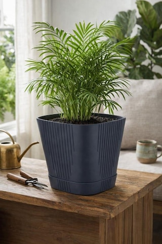 Omnipazar So-zb04 Zambak Dekoratif Plastik Saksı 5.6 Litre No:4