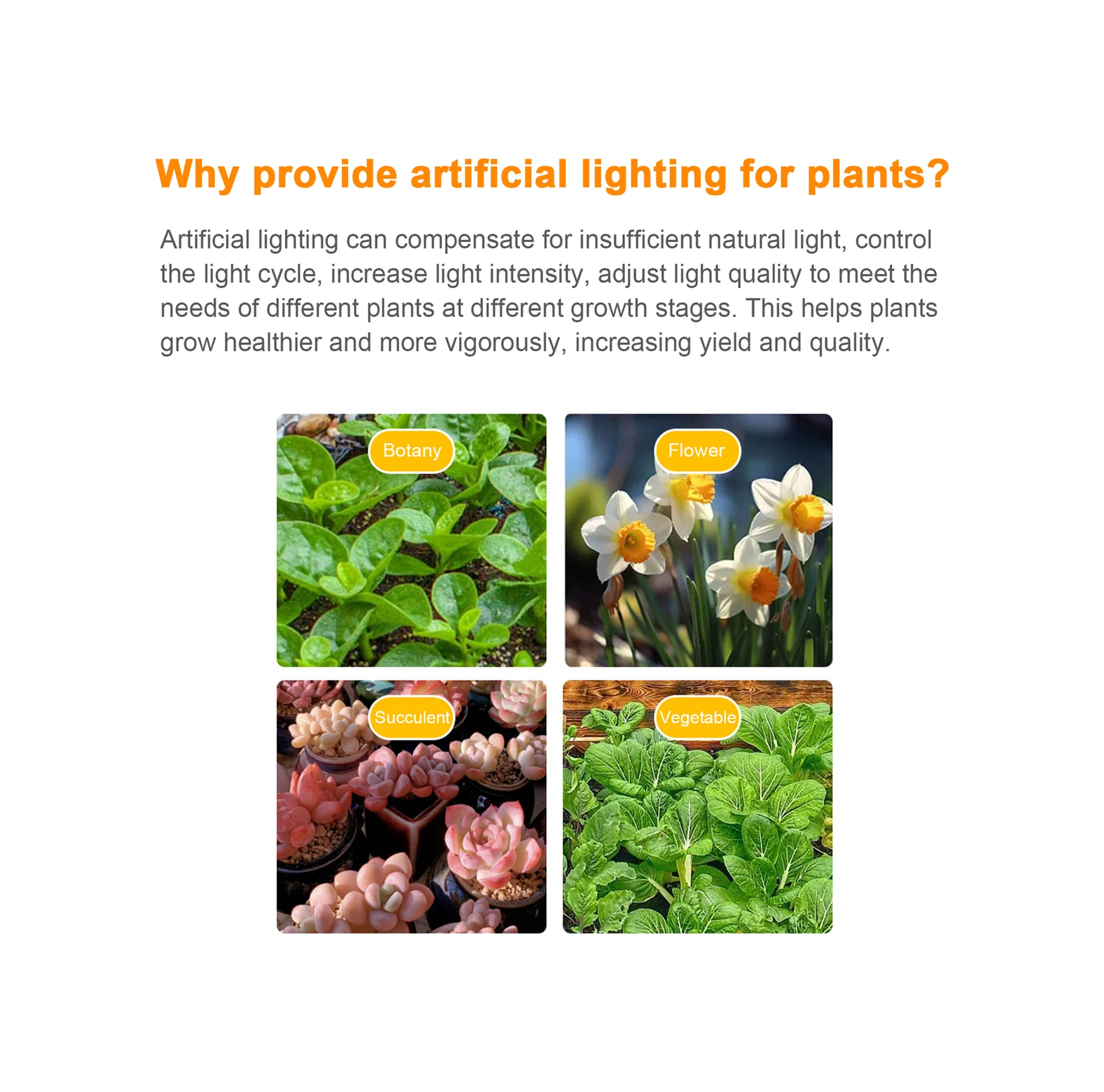 Fosenze Bitkisel Büyüme Led Işığı: Pembe-mor Spektrum, 4 Seviye Parlaklık, 24 Saatli Zamanlayıcı 3h/9h/12h , Usb Plug & Play, 30cm 3 Kollü, Fpc + Silikon Malzeme Mor - Pembe