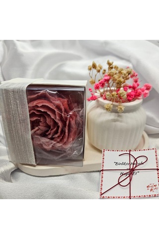 Sevgiliye Şık Mum Ve Dekoratif Saksı Hediye