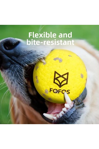 Hangfox Köpekler İçin Dayanıklı Diş Tırmalama Oyuncak Seti - Büyük Irklar İçin, Dışarıda Eğlence: Frisbee + Moleküler Top + Esnek Top Sarı