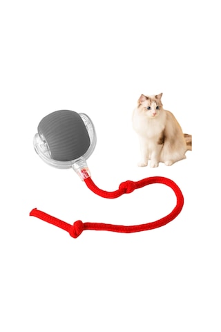 Qingmipy Otomatik Kedi Oyun Topu - Av İçgüdüsünü Uyaran Akıllı Ve Etkileşimli Kedi Oyuncak