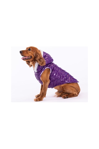 Pawstar Mor Light Wave Anorak Yelek Köpek Yeleği