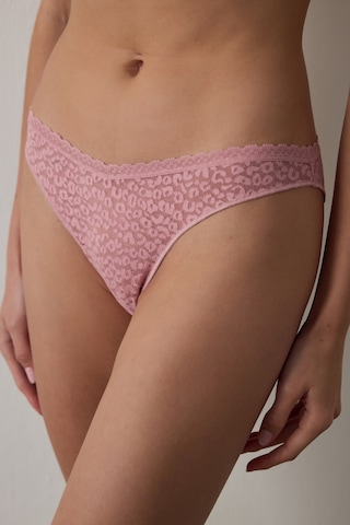 Penti Lila Easy Lace Dantel V Model Slip Külot