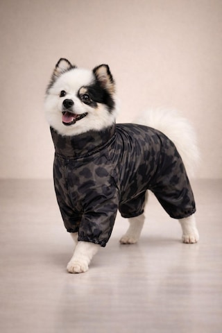Alphadog Icon Polarlı Küçük Irk Köpek Yağmurluk Tulumu