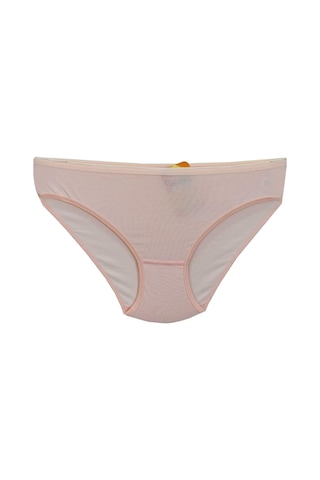 Kadın Bikini Külot Mikro Modal Bgl St01312 001