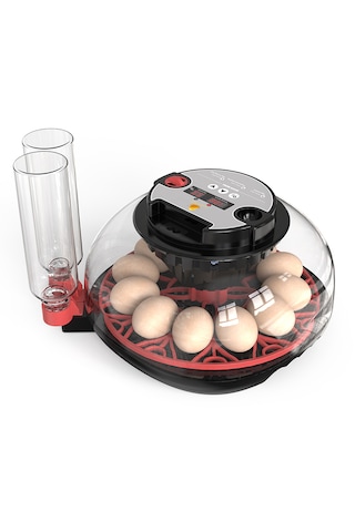 Altın Kuluçka 12 Li Mini Kuluçka Makinesi