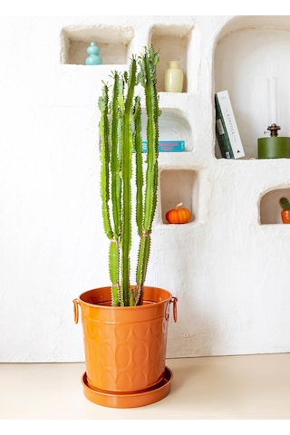 The Mia Prizma Saksı Terracota 33x25x33 Cm