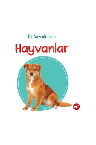 Ilk Kitaplığım 15 Kitap Ingilizce Türkçe Renkli Resimli Sertsayfa