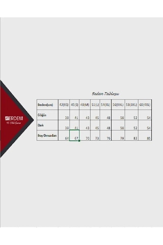 Erdem Erkek Ribana Kolsuz Kapalı Yaka Fanila Atlet 1195 - 6 Adet 001