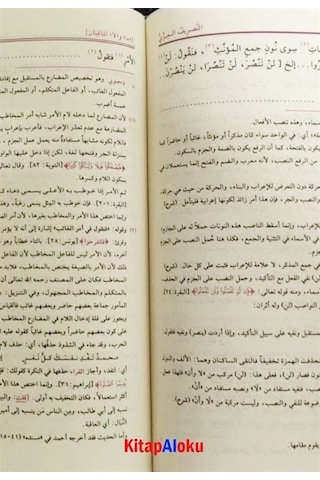 Mecmuatus Sarf Emsile, Bina, Maksud, İzzi Yeni Dizgi Renkli