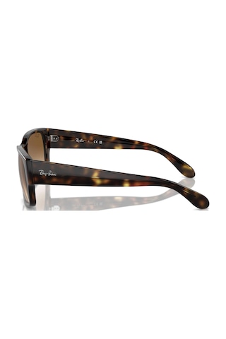 Ray-Ban Rb4388 710/51 58 Unisex Güneş Gözlüğü