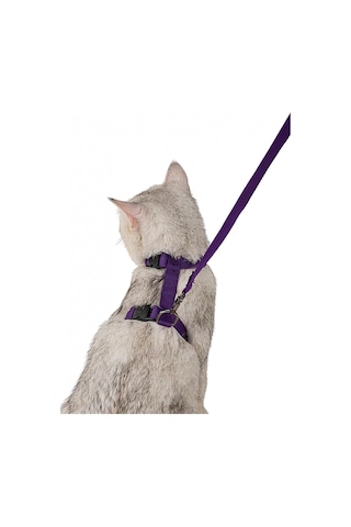 Orret Home 110 Cm Vücuda Takılan Kedi Tasması, Konforlu Ve Ayarlanabilir Tasarım, Güvenli Yürüyüşler İçin Idea
