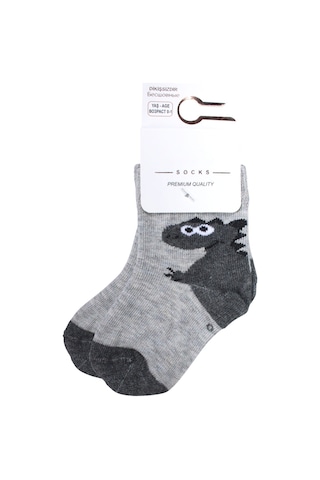 Bebegen Erkek Bebek Gri Dino Desenli Çorap 0-12 Ay Çok Renkli