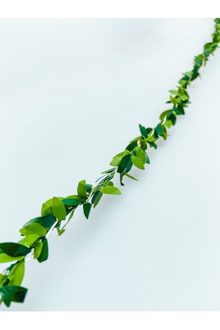 Petrix Pd1544 Dekoratif Yapraklı Şerit Led Işık (522382313) Yeşil