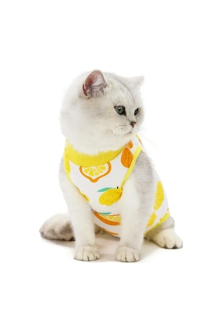 Best Golden Monkey Kediler İçin Ameliyat Sonrası Örtü 95680511