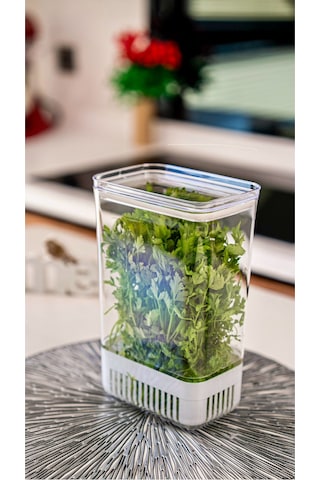 Ludıa Vakum Kapaklı Sebze Yeşillik Saklama Kabı 2900 Ml Beyaz - Şeffaf