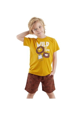 Denokids Wild Erkek Çocuk T-shirt Şort Takım Çok Renkli