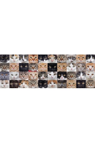 Nova Puzzle 1000 Parça Sevimli Kediler Kolajı Panorama Puzzle
