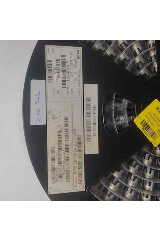 Rtd-25v102aıeztq-r5 19 Adet