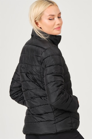 Dewberry Bayan Mont Z6746