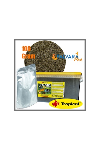 100 G Tropical 3-Algae Granulat-Kovadan Bölme Granül Yem